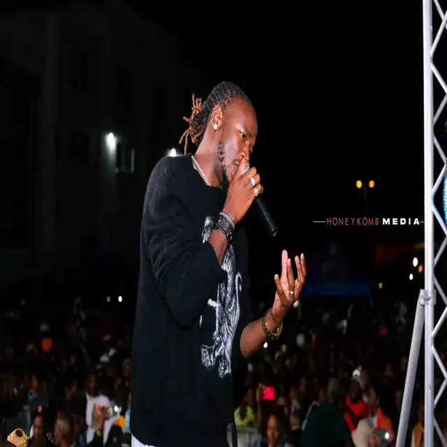 Artist performing to a large crowd at night